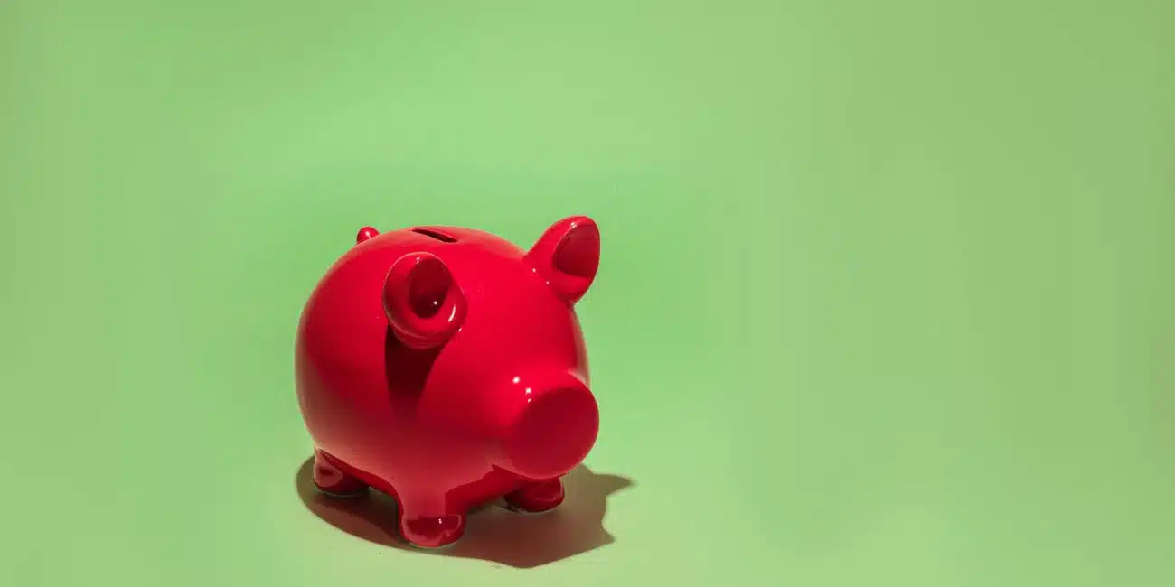 budget resorce umane